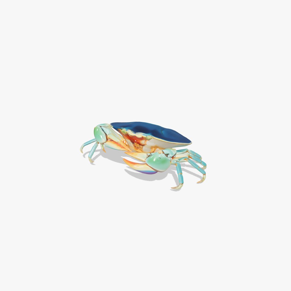 Realistic Blue Crab Aquatic Creature model pack
